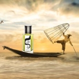 Isabelle Larignon Melkachtige Draak